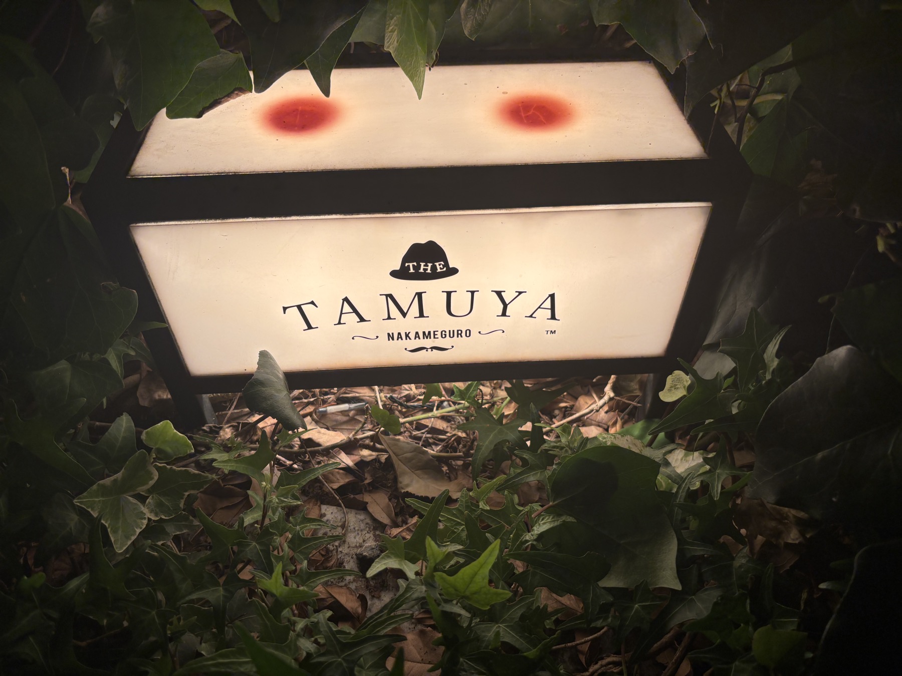 植物に囲まれた看板